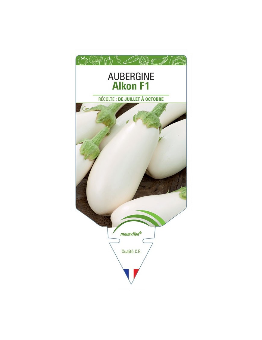 AUBERGINE ALKON F1