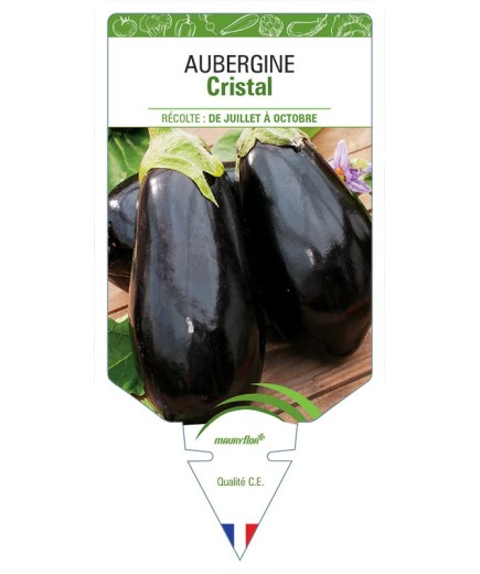AUBERGINE CRISTAL