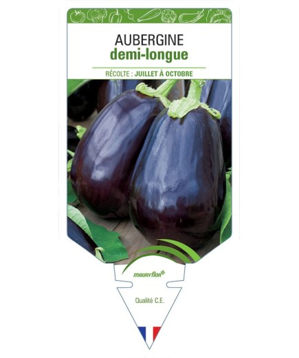 AUBERGINE DEMI-LONGUE