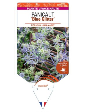 PANICAUT Blue Glitter