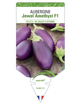 AUBERGINE JEWEL AMETHYSTH F1