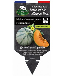 Melon Charentais brodé Funambule