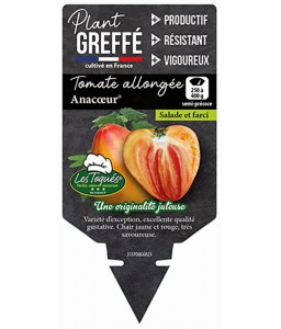 Tomate allongée Anacoeur® Plant greffé
