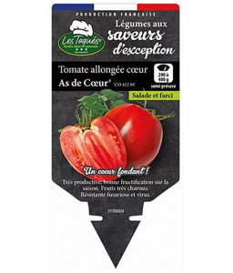 Tomate allongée cœur As de Cœur® (CO 412 88)