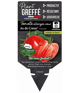 Tomate allongée cœur As de Cœur® (CO 412 88) Plant greffé