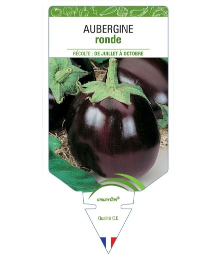 AUBERGINE RONDE