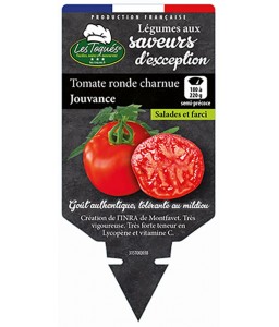 Tomate ronde charnue Jouvance