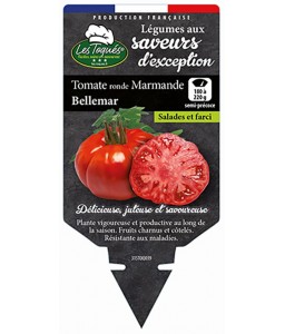 Tomate ronde Marmande Bellemar