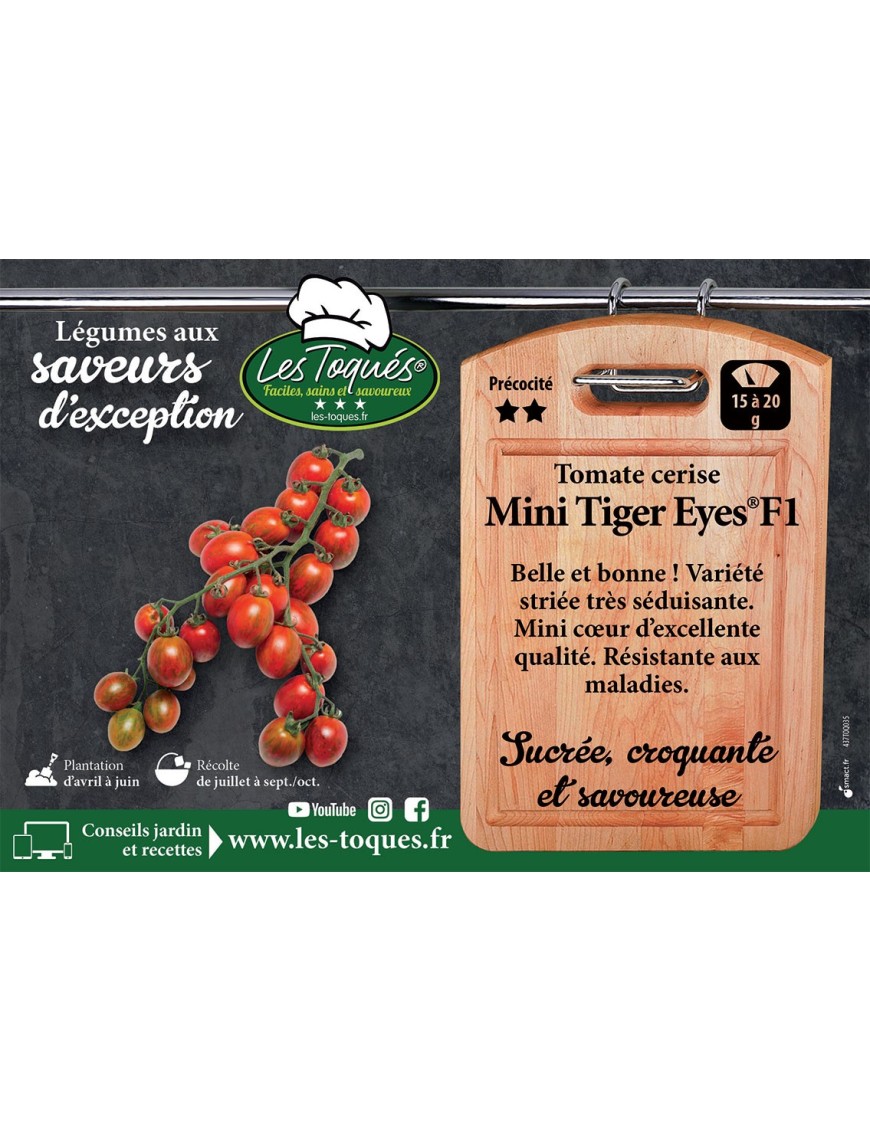 Tomate cerise Mini Tiger Eyes ®F1