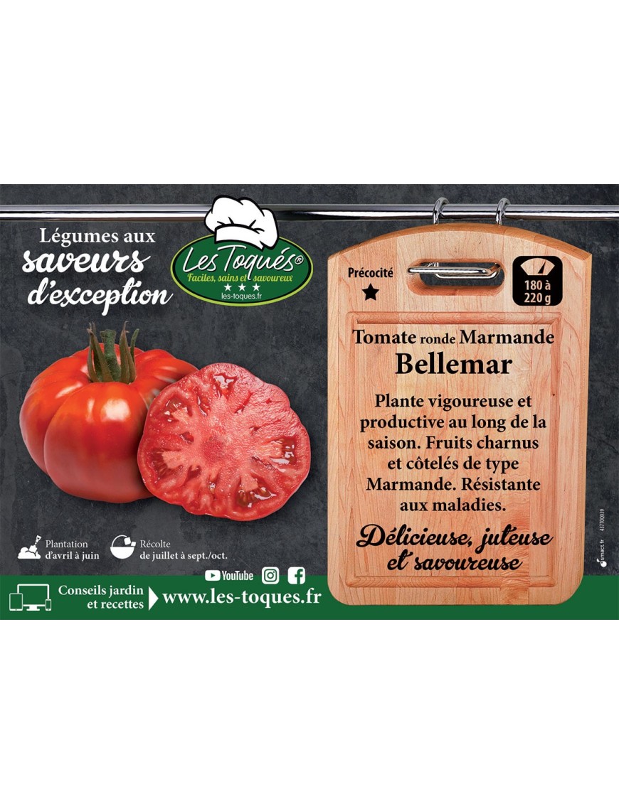 Tomate Bellemar F1