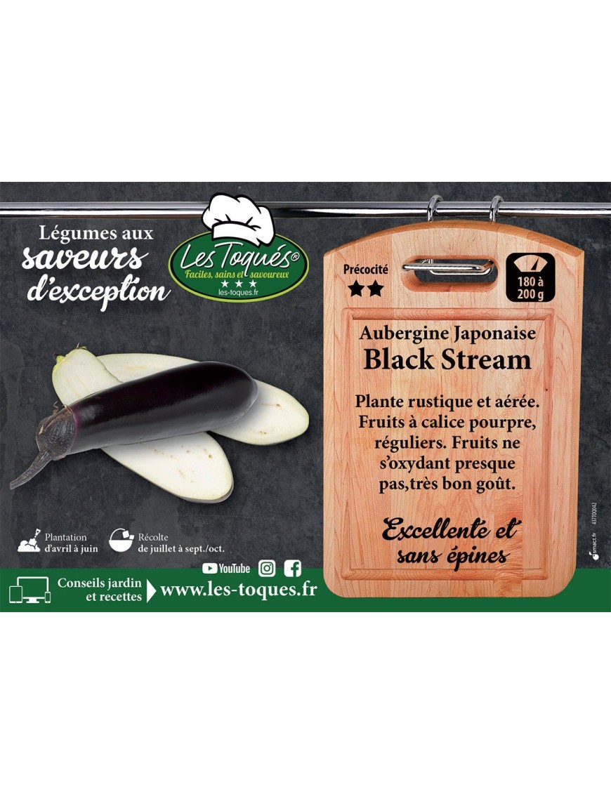 Aubergine Black Stream F1