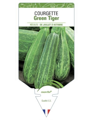 Courgette Green Tiger