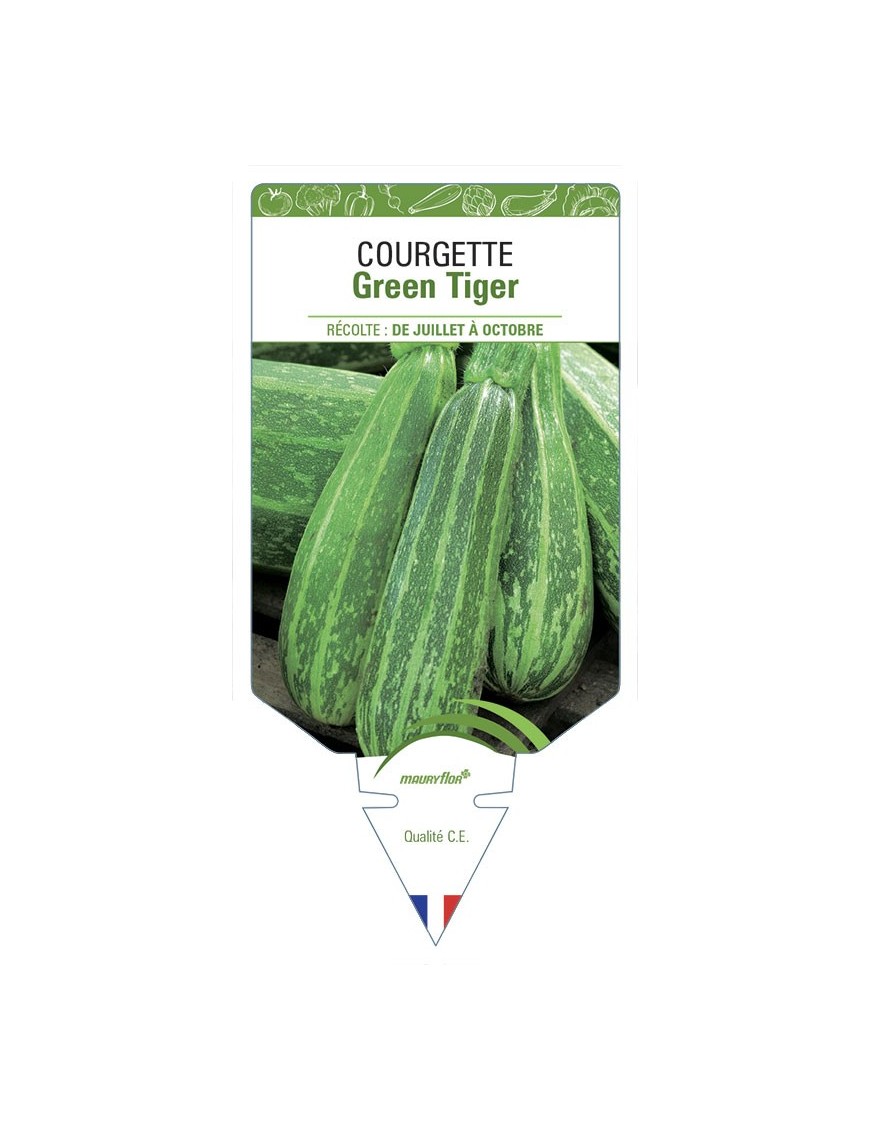 Courgette Green Tiger