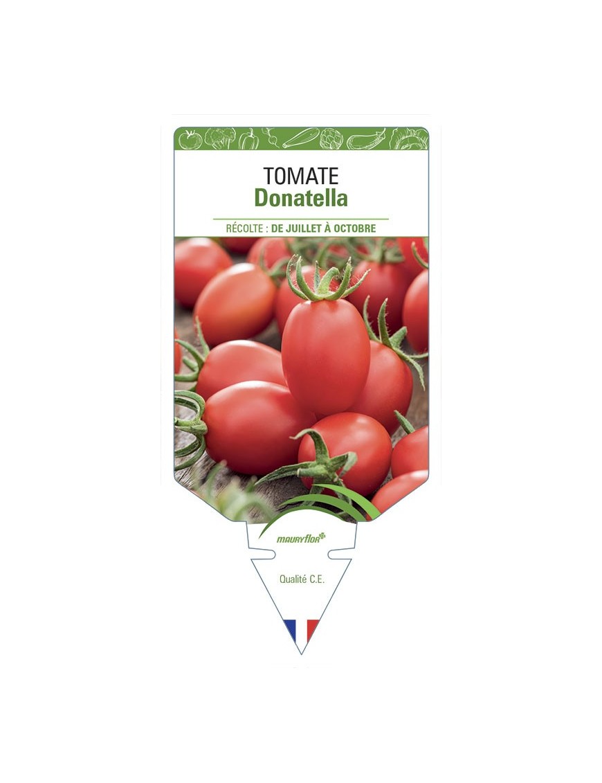 Tomate Donatella