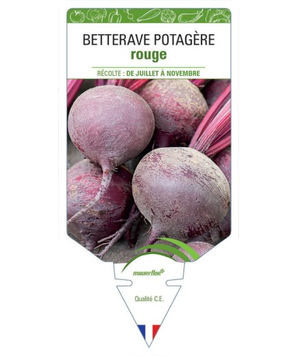 BETTERAVE ROUGE RONDE