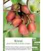 Kiwaï plant femelle à fruits rouges