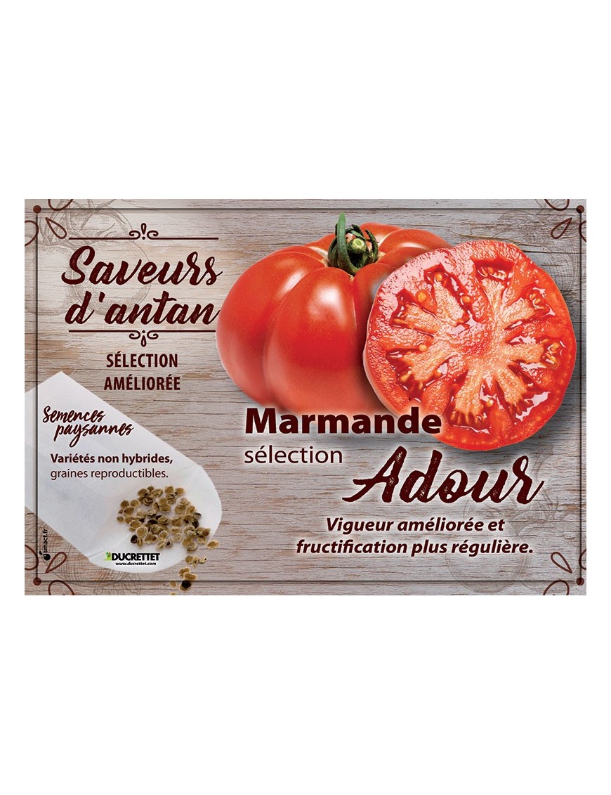 Tomate Marmande sélection Adour