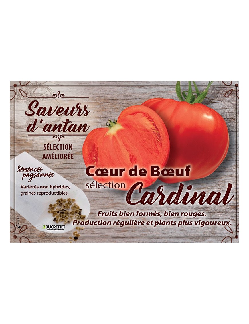 Tomate Cœur de Bœuf sélection Cardinal