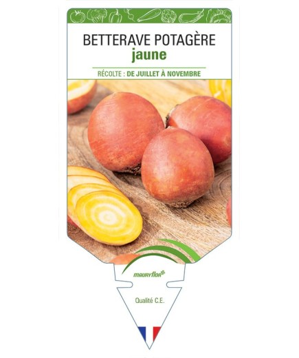 BETTERAVE POTAGÈRE JAUNE