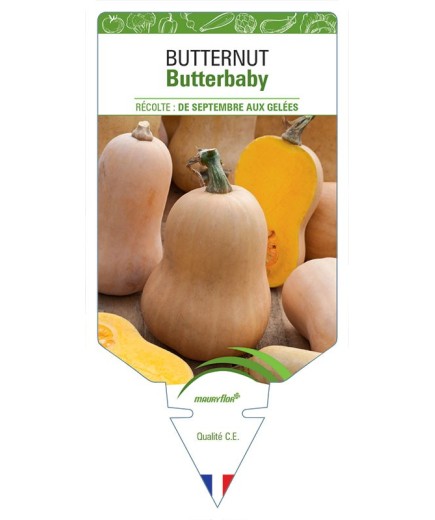 BUTTERNUT BUTTERBABY