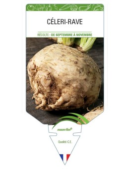 CÉLERI-RAVE