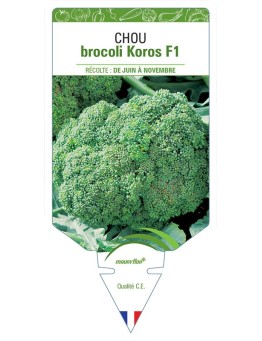 CHOU BROCOLI KOROS F1
