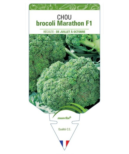 CHOU BROCOLI MARATHON F1