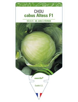 CHOU CABUS ALTESS F1