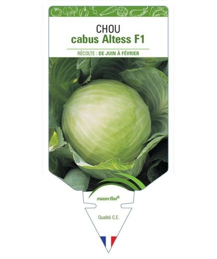 CHOU CABUS ALTESS F1