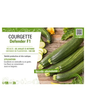 COURGETTE DEFENDER F1