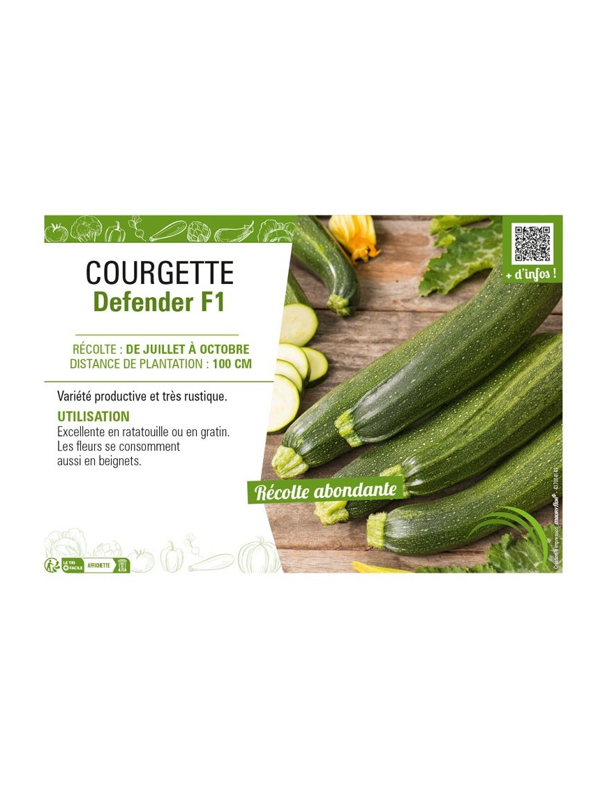 COURGETTE DEFENDER F1