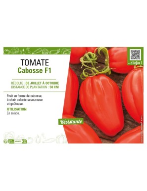 TOMATE CABOSSE F1