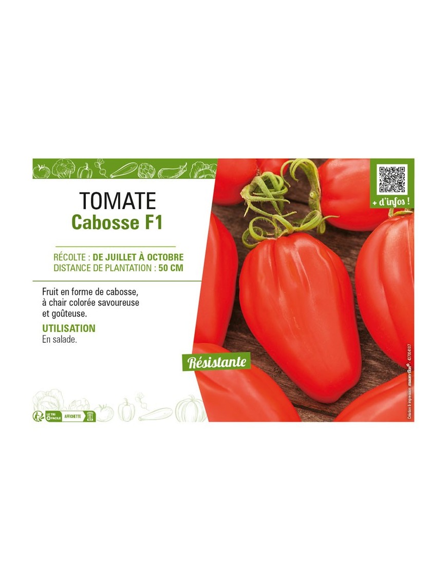 TOMATE CABOSSE F1