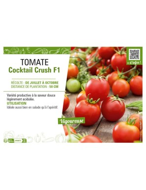 TOMATE COCKTAIL CRUSCH F1