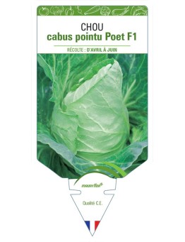 CHOU CABUS POINTU POET F1