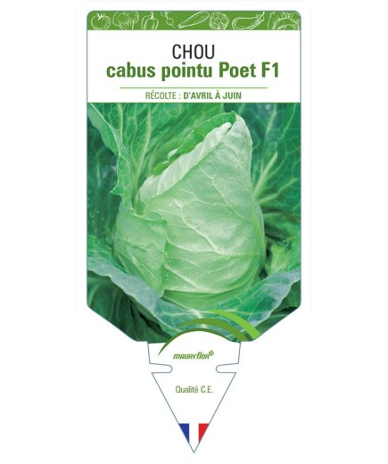 CHOU CABUS POINTU POET F1