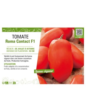 TOMATE ROMA CONTACT F1