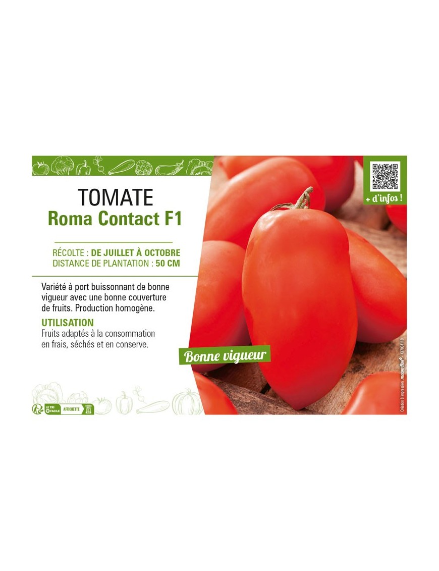 TOMATE ROMA CONTACT F1