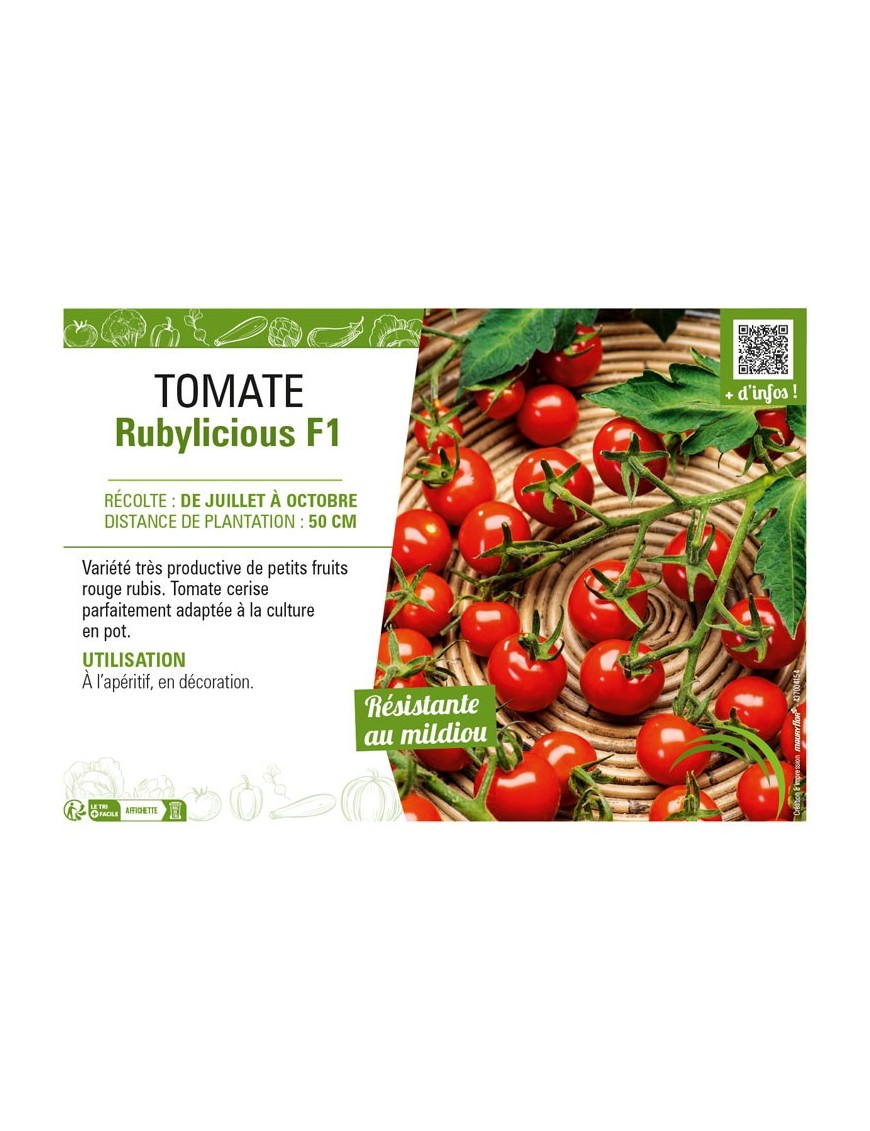 TOMATE RUBYLICIOUS F1