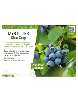 MYRTILLIER Blue Crop