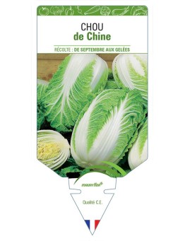 CHOU DE CHINE