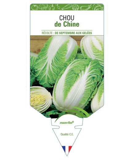 CHOU DE CHINE