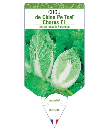 CHOU DE CHINE PE TSAÏ CHORUS F1