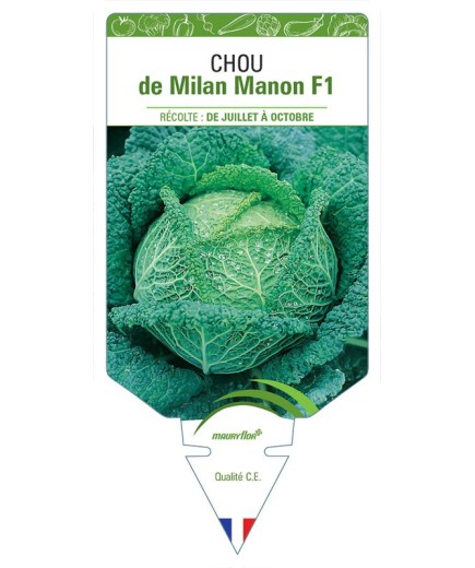 CHOU DE MILAN MANON F1
