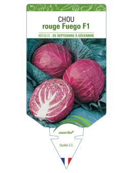 CHOU ROUGE FUEGO F1