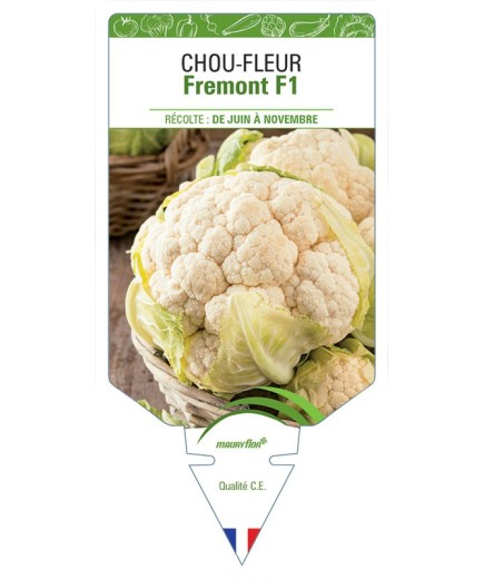 CHOU-FLEUR FREMONT F1