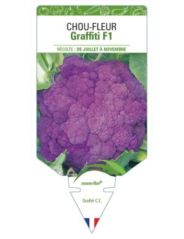 CHOU-FLEUR GRAFFITI F1