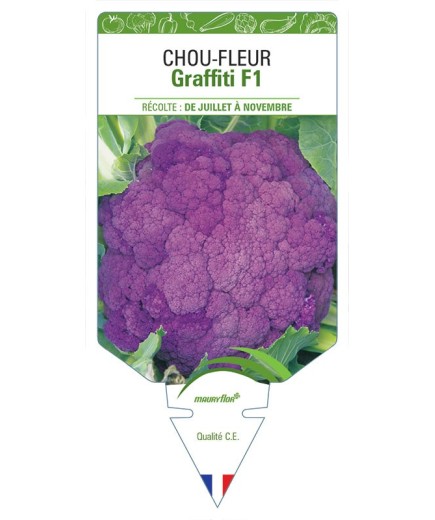 CHOU-FLEUR GRAFFITI F1