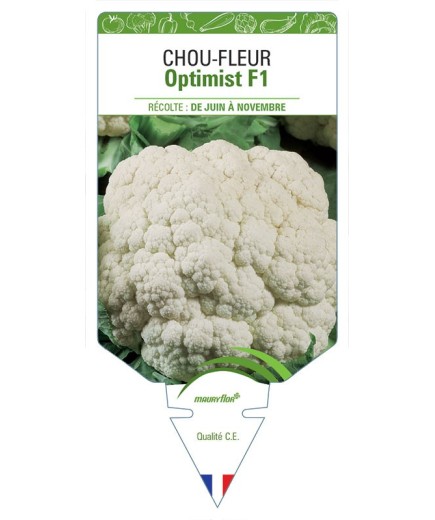 CHOU-FLEUR OPTIMIST F1