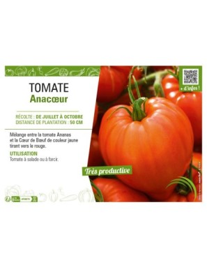 TOMATE ANACŒUR